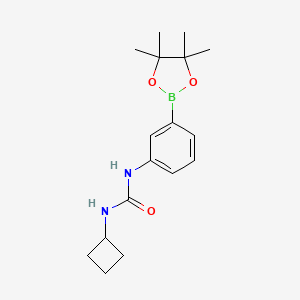 molecular formula C17H25BN2O3 B8170084 1-Cyclobutyl-3-[3-(4,4,5,5-tetramethyl-[1,3,2]dioxaborolan-2-yl)-phenyl]-urea 