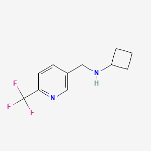 molecular formula C11H13F3N2 B8170444 N-((6-(trifluoromethyl)pyridin-3-yl)methyl)cyclobutanamine 