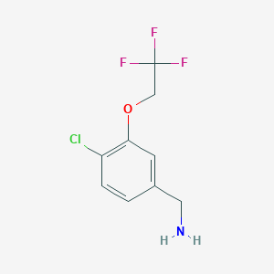 molecular formula C9H9ClF3NO B8170537 (4-Chloro-3-(2,2,2-trifluoroethoxy)phenyl)methanamine 