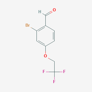 molecular formula C9H6BrF3O2 B8170756 2-Bromo-4-(2,2,2-trifluoroethoxy)benzaldehyde 