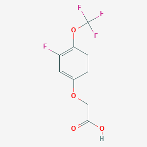 molecular formula C9H6F4O4 B8171066 2-(3-Fluoro-4-(trifluoromethoxy)phenoxy)acetic acid 