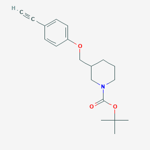 molecular formula C19H25NO3 B8171111 tert-Butyl 3-((4-ethynylphenoxy)methyl)piperidine-1-carboxylate 