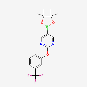 molecular formula C17H18BF3N2O3 B8171125 5-(4,4,5,5-Tetramethyl-1,3,2-dioxaborolan-2-yl)-2-(3-(trifluoromethyl)phenoxy)pyrimidine 