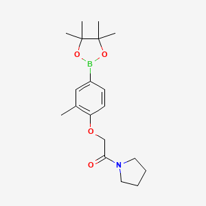 molecular formula C19H28BNO4 B8171226 2-(2-Methyl-4-(4,4,5,5-tetramethyl-1,3,2-dioxaborolan-2-yl)phenoxy)-1-(pyrrolidin-1-yl)ethanone 