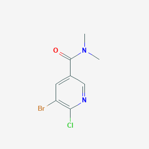 molecular formula C8H8BrClN2O B8171540 5-Bromo-6-chloro-N,N-dimethylpyridine-3-carboxamide 