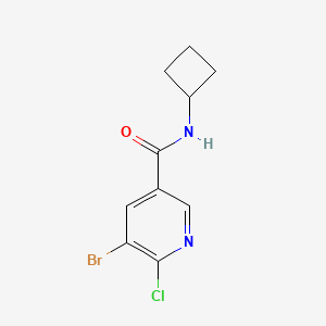 molecular formula C10H10BrClN2O B8171559 5-Bromo-6-chloro-N-cyclobutylnicotinamide 
