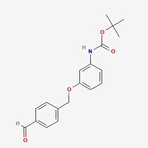 molecular formula C19H21NO4 B8171684 tert-Butyl (3-((4-formylbenzyl)oxy)phenyl)carbamate 