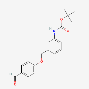 molecular formula C19H21NO4 B8171723 叔丁基（3-（（4-甲酰基苯氧基）甲基）苯基）氨基甲酸酯 