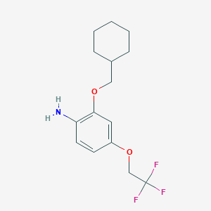 molecular formula C15H20F3NO2 B8172620 2-(Cyclohexylmethoxy)-4-(2,2,2-trifluoroethoxy)aniline 