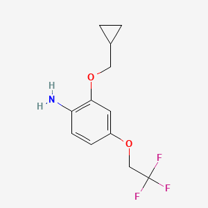molecular formula C12H14F3NO2 B8172629 2-(Cyclopropylmethoxy)-4-(2,2,2-trifluoroethoxy)aniline 