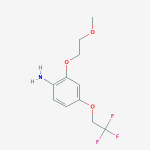 molecular formula C11H14F3NO3 B8172635 2-(2-Methoxyethoxy)-4-(2,2,2-trifluoroethoxy)aniline 