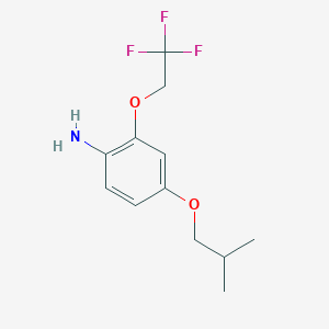 molecular formula C12H16F3NO2 B8172682 4-Isobutoxy-2-(2,2,2-trifluoroethoxy)aniline 