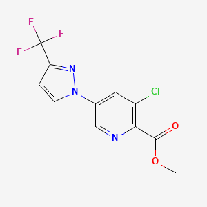 molecular formula C11H7ClF3N3O2 B8172745 Methyl 3-chloro-5-[3-(trifluoromethyl)pyrazol-1-yl]pyridine-2-carboxylate 