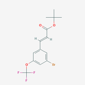 molecular formula C14H14BrF3O3 B8172908 (E)-tert-butyl 3-(3-bromo-5-(trifluoromethoxy)phenyl)acrylate 