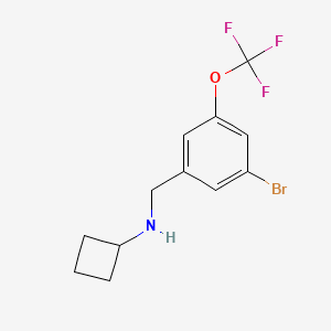 molecular formula C12H13BrF3NO B8172915 N-(3-Bromo-5-(trifluoromethoxy)benzyl)cyclobutanamine 