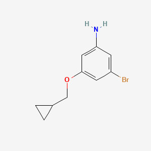 molecular formula C10H12BrNO B8173228 3-Bromo-5-(cyclopropylmethoxy)aniline 