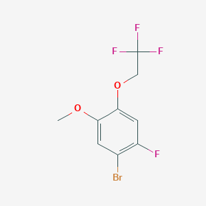 molecular formula C9H7BrF4O2 B8173255 1-Bromo-2-fluoro-5-methoxy-4-(2,2,2-trifluoroethoxy)benzene 