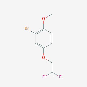 molecular formula C9H9BrF2O2 B8173355 2-Bromo-4-(2,2-difluoroethoxy)-1-methoxybenzene 