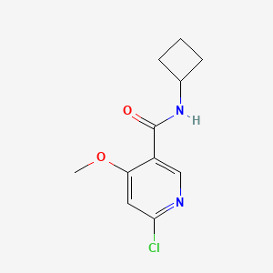 molecular formula C11H13ClN2O2 B8173523 6-Chloro-N-cyclobutyl-4-methoxynicotinamide 