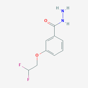 molecular formula C9H10F2N2O2 B8173637 3-(2,2-Difluoroethoxy)benzohydrazide 