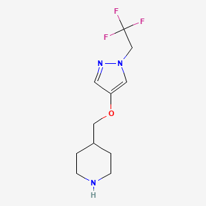 molecular formula C11H16F3N3O B8174230 4-(((1-(2,2,2-Trifluoroethyl)-1H-pyrazol-4-yl)oxy)methyl)piperidine 
