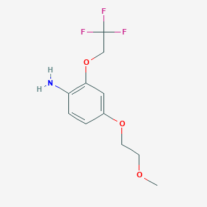 molecular formula C11H14F3NO3 B8174495 4-(2-Methoxyethoxy)-2-(2,2,2-trifluoroethoxy)aniline 