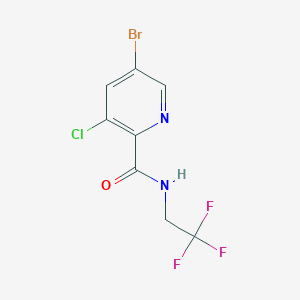 molecular formula C8H5BrClF3N2O B8174671 5-Bromo-3-chloro-N-(2,2,2-trifluoroethyl)picolinamide 