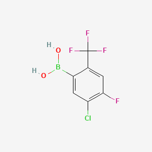 molecular formula C7H4BClF4O2 B8175789 [5-Chloro-4-fluoro-2-(trifluoromethyl)phenyl]boronic acid 