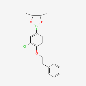 molecular formula C20H24BClO3 B8176351 2-(3-Chloro-4-phenethoxyphenyl)-4,4,5,5-tetramethyl-1,3,2-dioxaborolane 