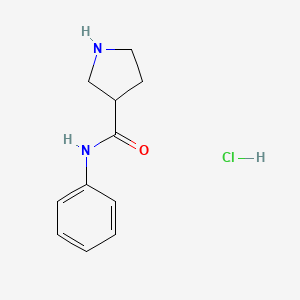 molecular formula C11H15ClN2O B8176429 N-phenyl-3-pyrrolidinecarboxamide hydrochloride 
