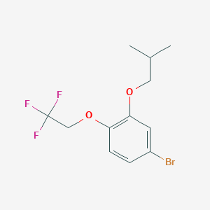 molecular formula C12H14BrF3O2 B8176654 4-Bromo-2-isobutoxy-1-(2,2,2-trifluoroethoxy)benzene 
