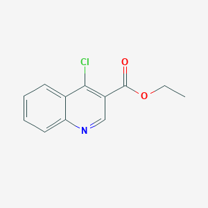 molecular formula C12H10ClNO2 B081768 4-氯喹啉-3-羧酸乙酯 CAS No. 13720-94-0