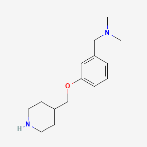 molecular formula C15H24N2O B8176816 N,N-Dimethyl-1-(3-(piperidin-4-ylmethoxy)phenyl)methanamine dihydrochloride 