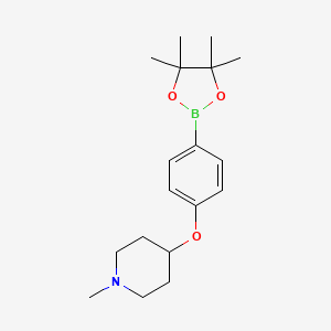 molecular formula C18H28BNO3 B8177485 1-Methyl-4-(4-(4,4,5,5-tetramethyl-1,3,2-dioxaborolan-2-yl)phenoxy)piperidine 