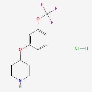4-(3-Trifluoromethoxy-phenoxy)-piperidine hydrochloride