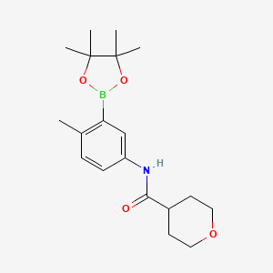 molecular formula C19H28BNO4 B8177545 N-(4-methyl-3-(4,4,5,5-tetramethyl-1,3,2-dioxaborolan-2-yl)phenyl)tetrahydro-2H-pyran-4-carboxamide 