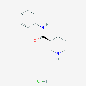 molecular formula C12H17ClN2O B8177825 (S)-N-phenylpiperidine-3-carboxamide hydrochloride 