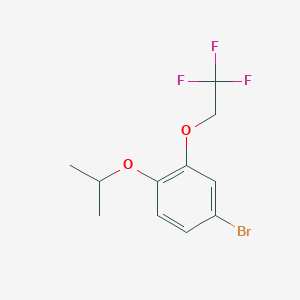 molecular formula C11H12BrF3O2 B8177854 4-Bromo-1-isopropoxy-2-(2,2,2-trifluoroethoxy)benzene 