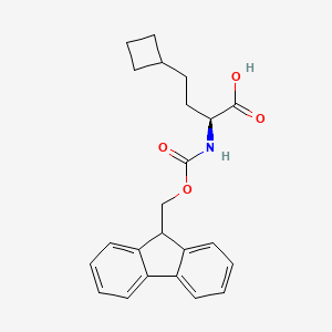 molecular formula C23H25NO4 B8178270 (S)-2-(Fmoc-amino)-4-cyclobutylbutanoic acid 