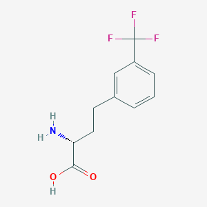 molecular formula C11H12F3NO2 B8178778 (R)-3-Trifluoromethyl-homophenylalanine 
