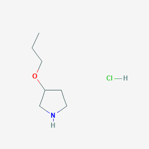 molecular formula C7H16ClNO B8178874 3-Propoxy-pyrrolidine HCl 