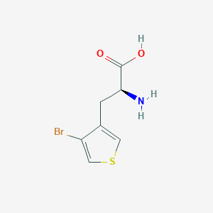 molecular formula C7H8BrNO2S B8179530 (2S)-2-amino-3-(4-bromothiophen-3-yl)propanoic acid 