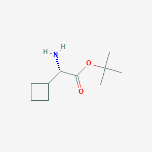 molecular formula C10H19NO2 B8179548 (S)-tert-Butyl 2-amino-2-cyclobutylacetate CAS No. 1998701-10-2