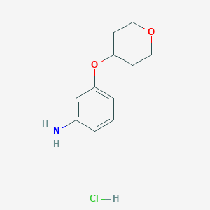 molecular formula C11H16ClNO2 B8179577 3-[(Tetrahydro-2H-pyran-4-yl)oxy]benzenamine HCl 