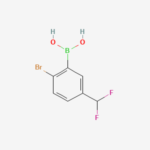 molecular formula C7H6BBrF2O2 B8180107 [2-Bromo-5-(difluoromethyl)phenyl]boronic acid 