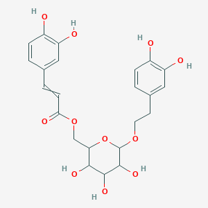 molecular formula C23H26O11 B8180907 [6-[2-(3,4-Dihydroxyphenyl)ethoxy]-3,4,5-trihydroxyoxan-2-yl]methyl 3-(3,4-dihydroxyphenyl)prop-2-enoate 