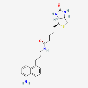 molecular formula C23H30N4O2S B8181091 N-(3-(5-Aminonaphthalen-1-yl)propyl)-5-((3aS,4S,6aR)-2-oxohexahydro-1H-thieno[3,4-d]imidazol-4-yl)pentanamide 