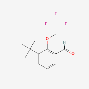 molecular formula C13H15F3O2 B8182542 3-(tert-Butyl)-2-(2,2,2-trifluoroethoxy)benzaldehyde 