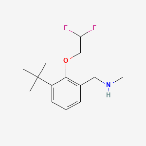 molecular formula C14H21F2NO B8182670 1-(3-(tert-Butyl)-2-(2,2-difluoroethoxy)phenyl)-N-methylmethanamine 