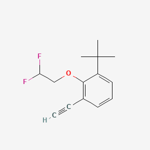 molecular formula C14H16F2O B8182673 1-(tert-Butyl)-2-(2,2-difluoroethoxy)-3-ethynylbenzene 